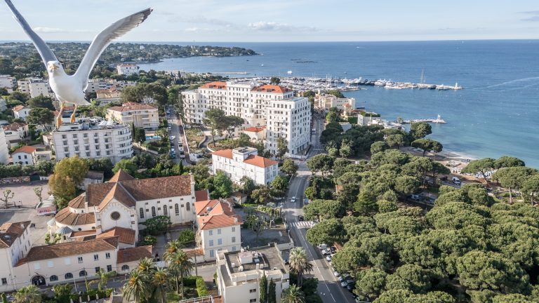 Le Provençal